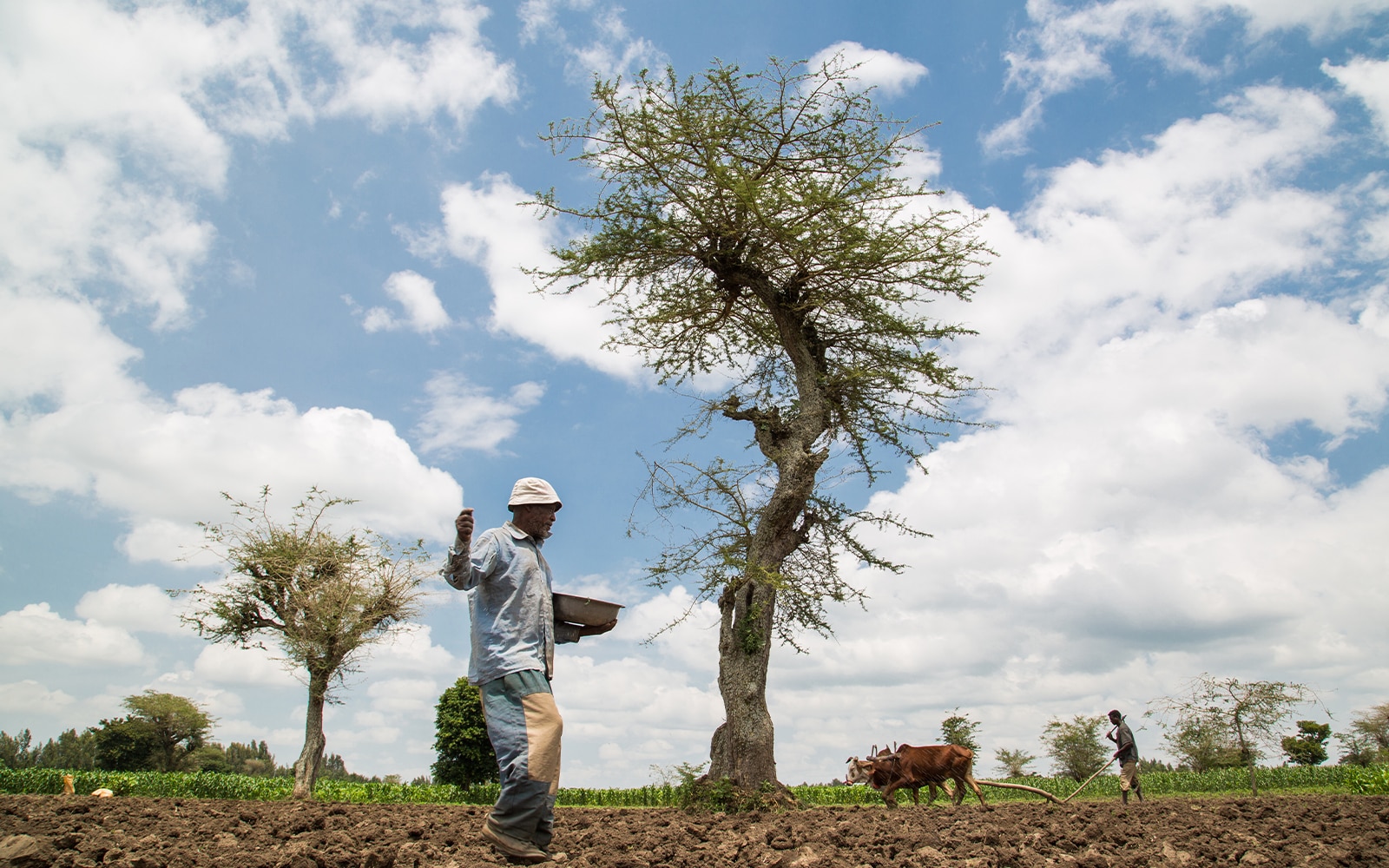 Rural worker