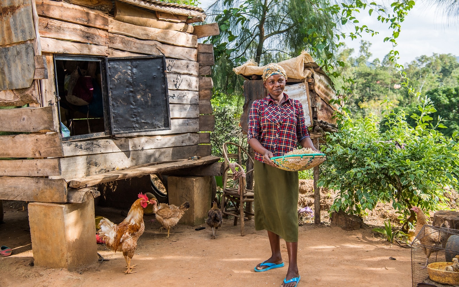 A farmer sifts through corn harvested from hybrid drought-resistant maize seed on her smallholder farm in Kenya.